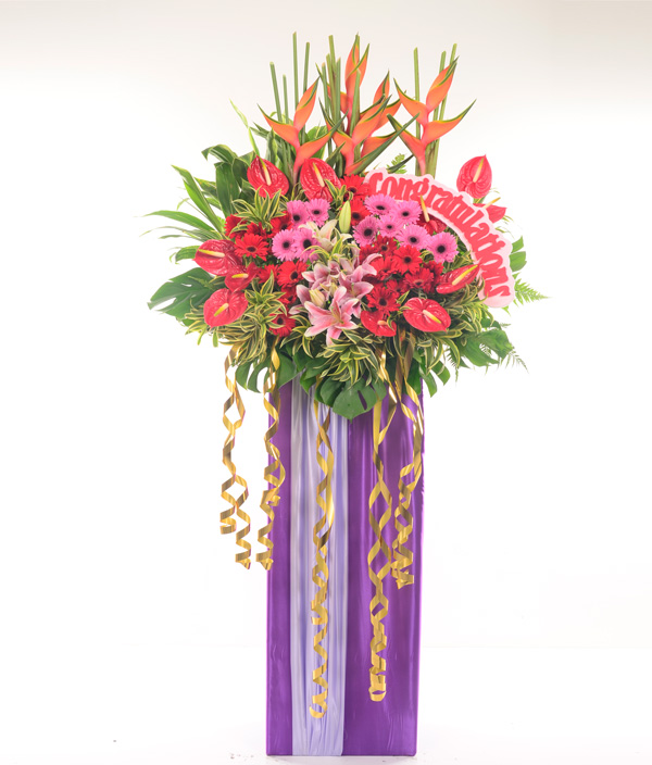 Opening Flowers:Heartiest Congratulations