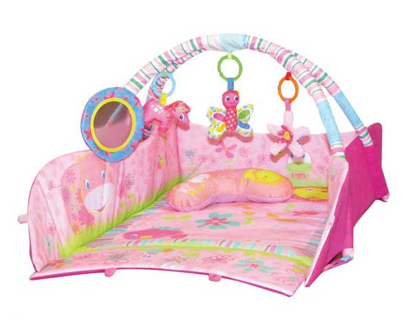 Play Gym
