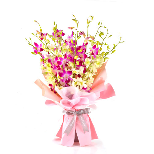 Beautiful Celebration-L size
