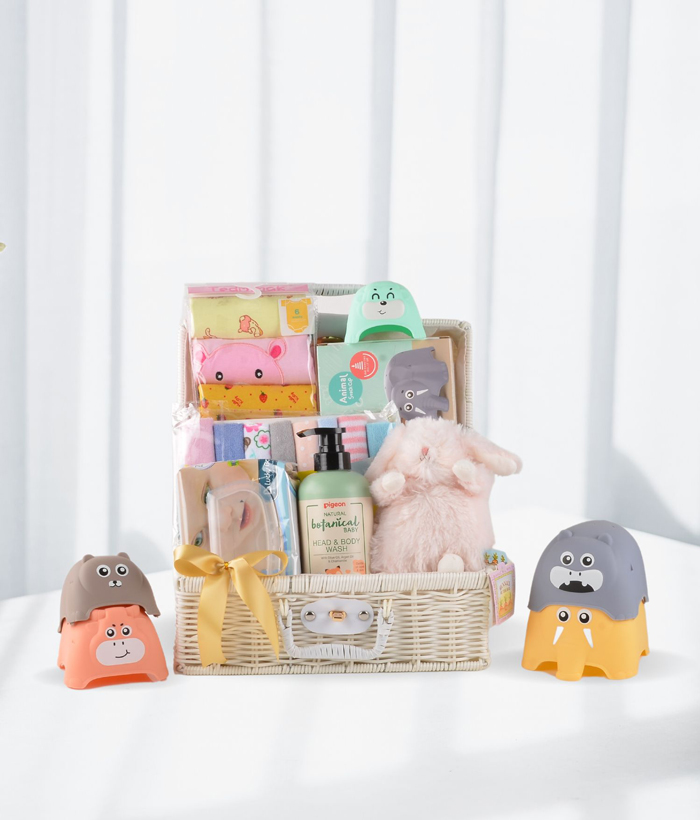 Welcome Newborn Gift