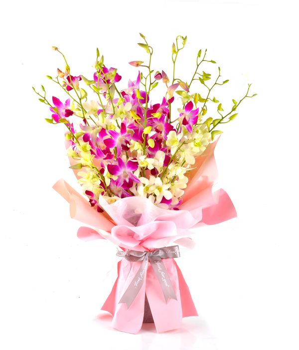 Miss Orchids-Petite Size
