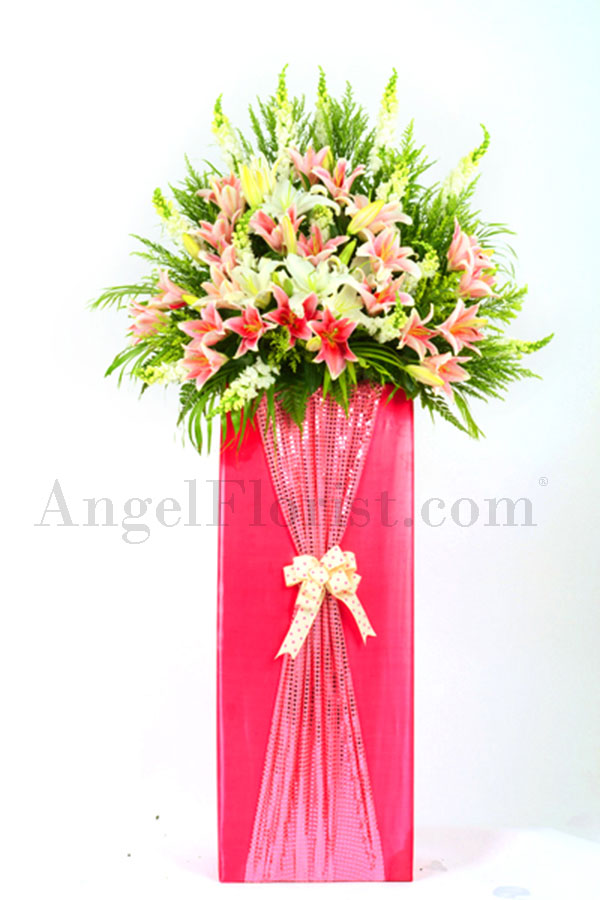 Opening Flower: Pink Expression