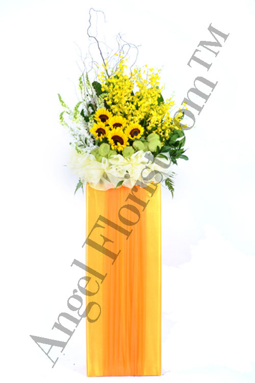 Opening Flower: Bountiful Joy