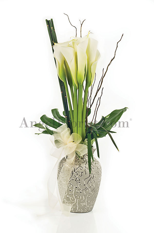 Pure Calla