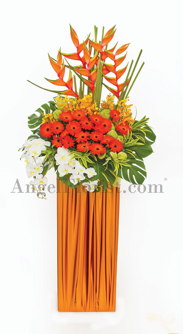 Congratulation Flower: Rising Sun