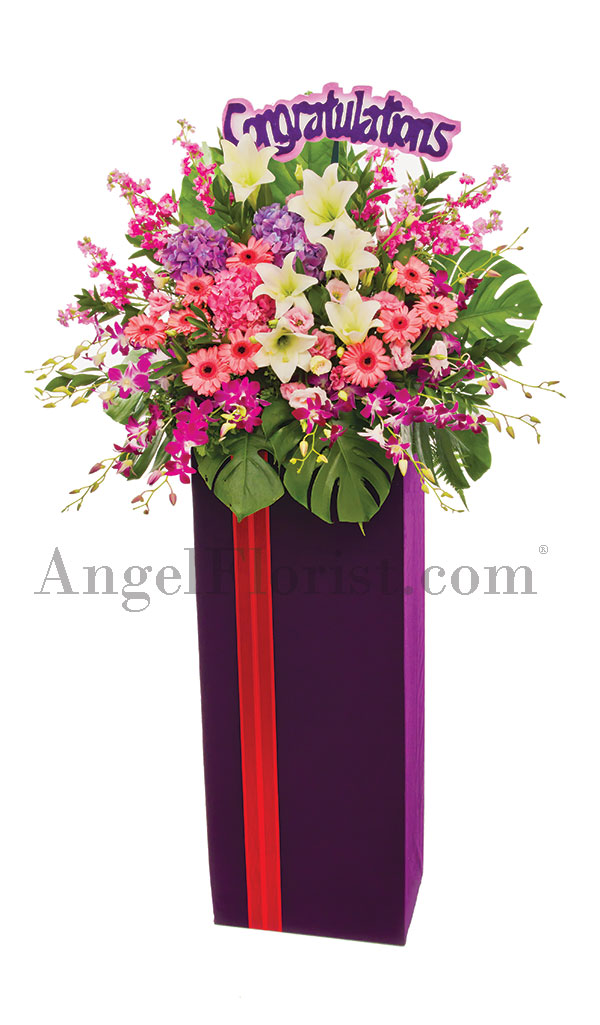 Opening Flower: Outburst of Happiness
