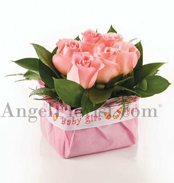 Lovely Girl (Available as add on only)