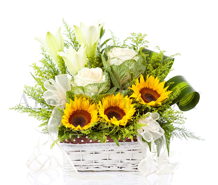 Sunny Spring