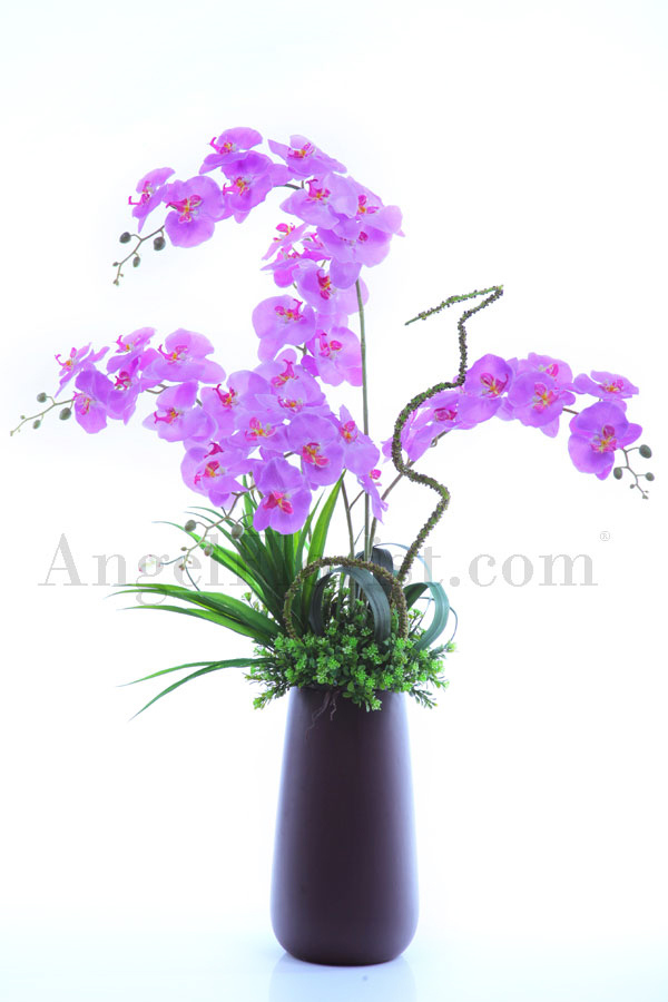 Eternal Purple