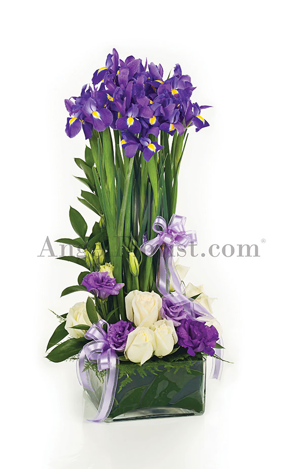 Soaring Blooms