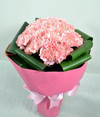 Pink Elegance