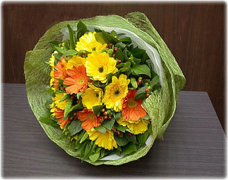 Vibrant Geberas