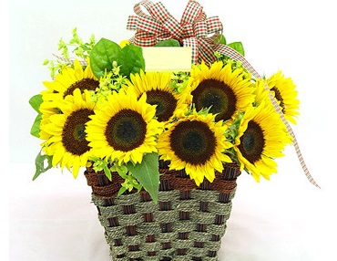 Birthday Bouquet: Sunny Bunny