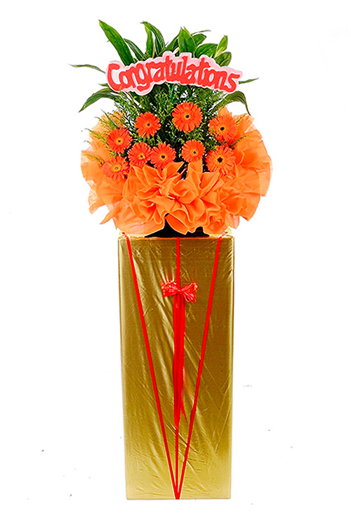 Opening Flower: Shine On