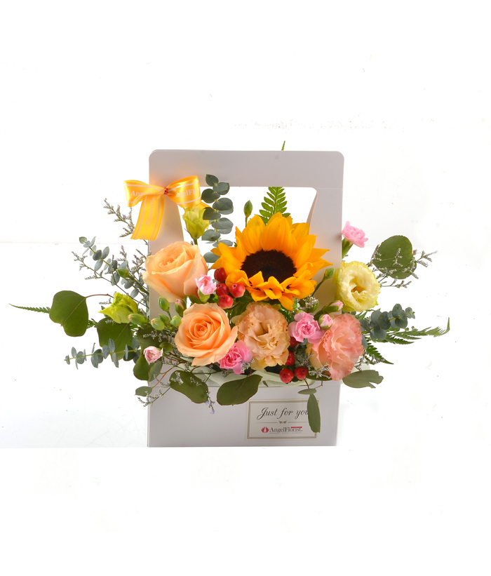 Sunshine box