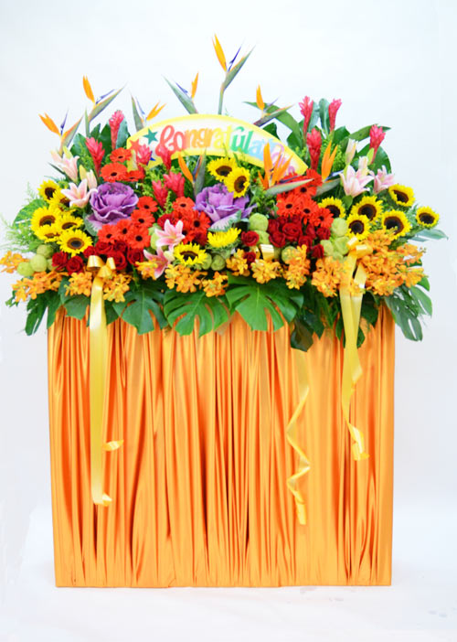 Opening Flower: Heartiest Congratulations