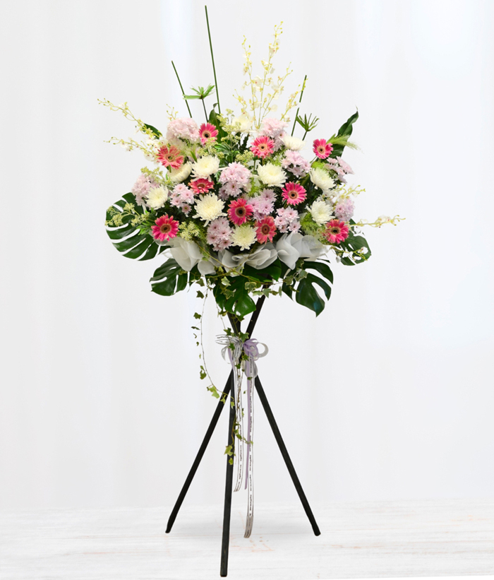 Serenity Blooms