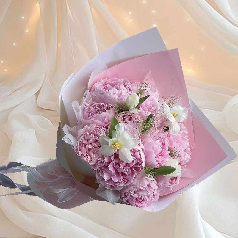 Pretty Peony