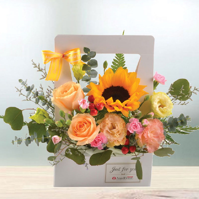 Sunshine box