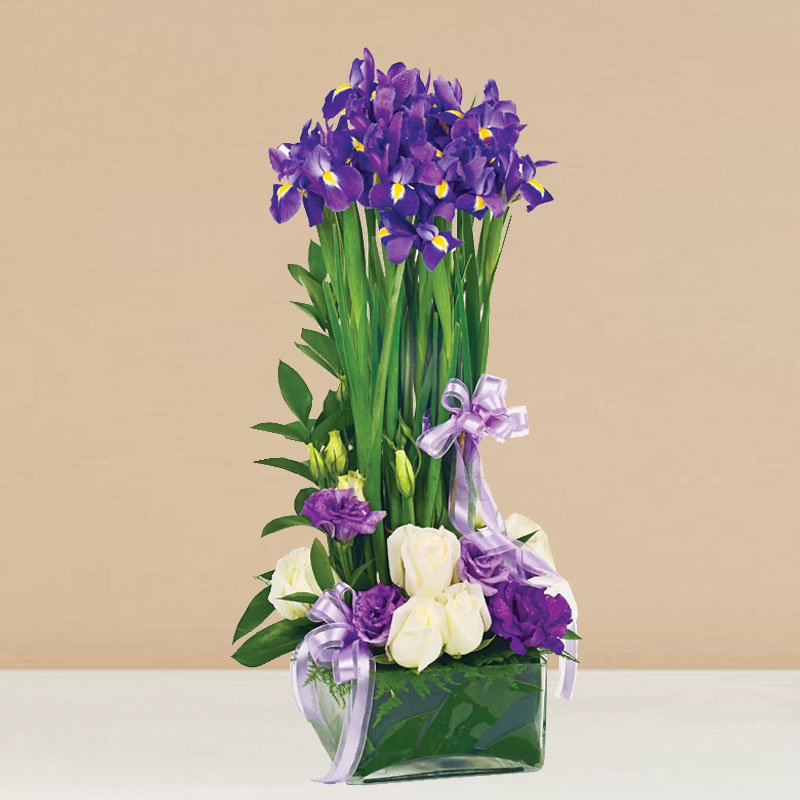 Soaring Blooms