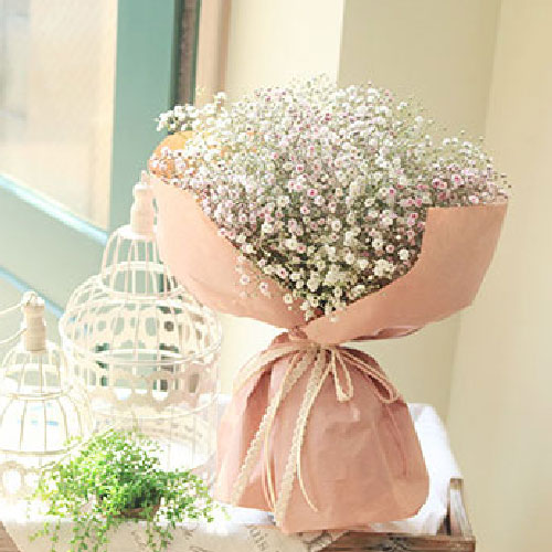 My Baby Breath