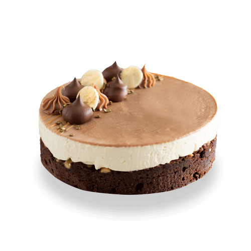 Cocoa Brownie Cheesecake