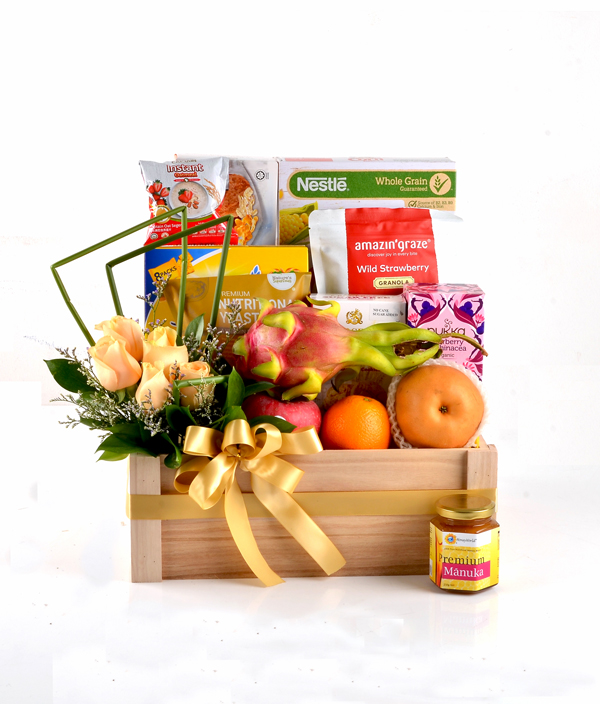 Wellness and Fitness