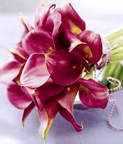 Wedding Flowers: Majestic Red