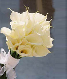 Wedding Flowers: Calla Lily