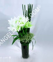 White Elegance