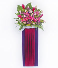 Opening Flower Stand: Cheers