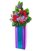 Opening Flower Stand: Magnificence