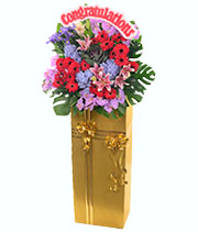 Opening Flower Stand: Vibrant Cheer