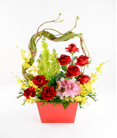 Vibrant Bloom