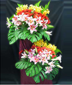 Opening Flowers: Splendour