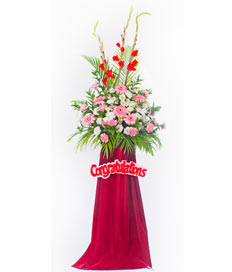 Opening Flowers: Breezy
