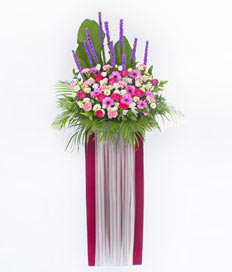 Opening Stand Flowers: Glory