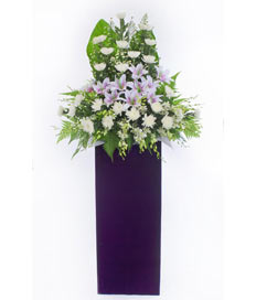 Condolence Flowers: Peace Respect