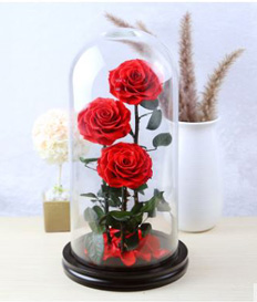 Preserved Roses - I Love You