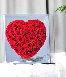 Preserved premium roses-You are Loved