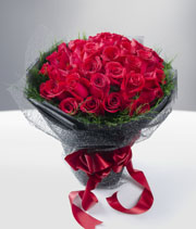 Summer Passion-premium roses