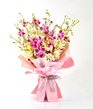 Beautiful Celebration-L size
