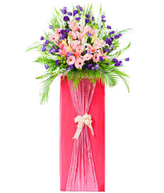Congratulations Flower: Sweet Glory