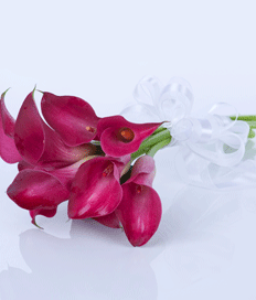 Wedding Flowers: Maroon Trumpets