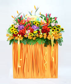 Opening Flower: Heartiest Congratulations