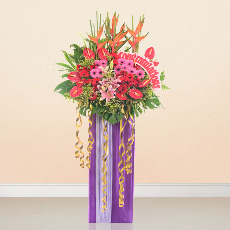 Opening Flowers:Heartiest Congratulations