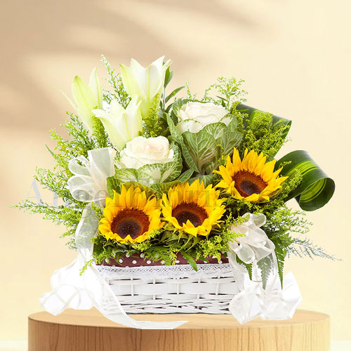 Sunny Spring
