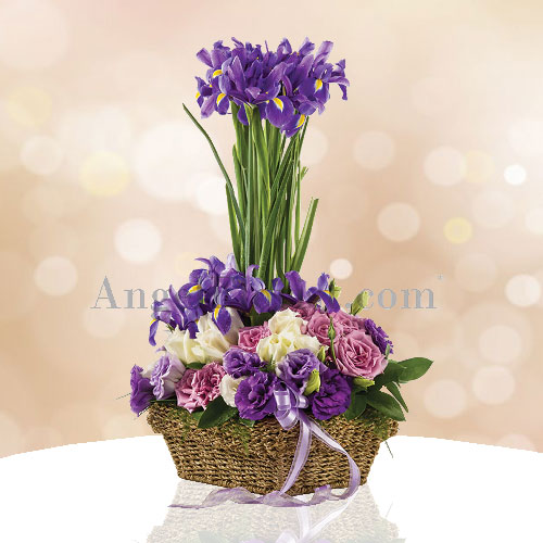 Purple Kisses