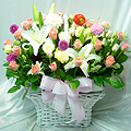 basket-26