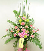 Bloom with Prosperity